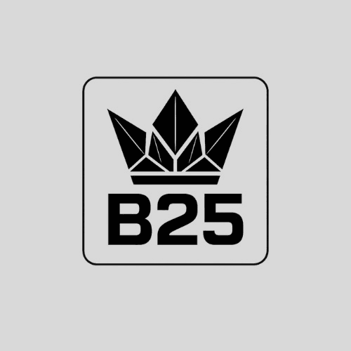 B25Ventures